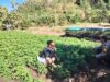 Dukung Asta Cita Ketahanan Pangan, Bhabinkamtibmas Desa Labuhan Badas Motivasi Warga Optimalkan Lahan Produktif