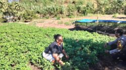 Dukung Asta Cita Ketahanan Pangan, Bhabinkamtibmas Desa Labuhan Badas Motivasi Warga Optimalkan Lahan Produktif