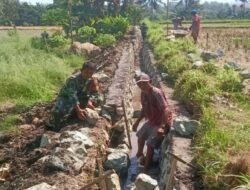 Monitoring Babinsa Dorong Infrastruktur Pertanian Lebih Berkualitas dan Berkelanjutan