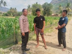 Bhabinkamtibmas Desa Mumbu Pantau Lahan Jagung dan Ajak Warga Dukung Keamanan Desa