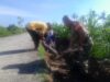 Babinsa Lembar Dampingi Petani Perkuat Infrastruktur Pertanian