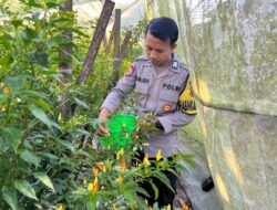 Bhabinkamtibmas Desa Kumbang Dorong Ketahanan Pangan dan Ajak Warga Jaga Kamtibmas