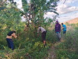 Sinergi TNI-Polri dan Warga Dukung TMMD ke-129, Bhabinkamtibmas Banggo Gotong Royong Bersihkan Jalur Jalan Tani