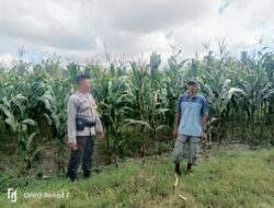 Dukung Ketahanan Pangan, Bhabinkamtibmas Desa Usar Tinjau Tanaman Warga dan Ajak Manfaatkan Pekarangan