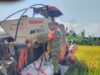 Kolaborasi TNI dan Petani Wujudkan Panen Berkualitas di Gunungsari