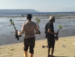 Wakapolsek Moyo Hilir Hadiri Penanaman Pohon Mangrove dan Apel Gladi Kesiapsiagaan Bencana di Pungkit