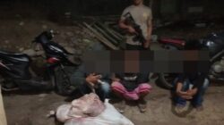 Gerak Cepat Polisi, Tiga Pembawa Daging Sapi Diduga Hasil Curian Diamankan di Sape