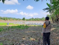 Tinjau Lahan Petani di Desa Moyo, Bhabinkamtibmas Gali Kendala Pertanian Demi Sukseskan Ketahanan Pangan