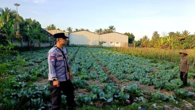 Bhabinkamtibmas Desa Masbagik Timur Monitoring Ketahanan Pangan dan Ajak Warga Jaga Kamtibmas