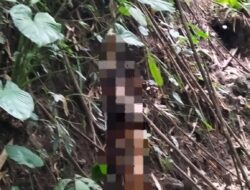 Polresta Loteng Olah TKP Penemuan Mayat Tergantung di Kawasan Hutan BKU. ‎