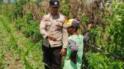 Dukung Ketahanan Pangan, Polsek Labuapi Dorong Warga Manfaatkan Lahan Pekarangan Rumah