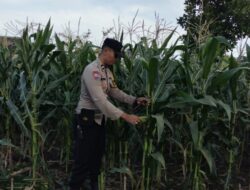 Aksi Nyata Polsek Labuapi Dampingi Warga Sulat Lahan Pasif Jadi Sumber Pangan