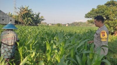 Sinergi Polri dan Petani di Lombok Barat: Optimalkan Pekarangan Rumah demi Ketahanan Pangan