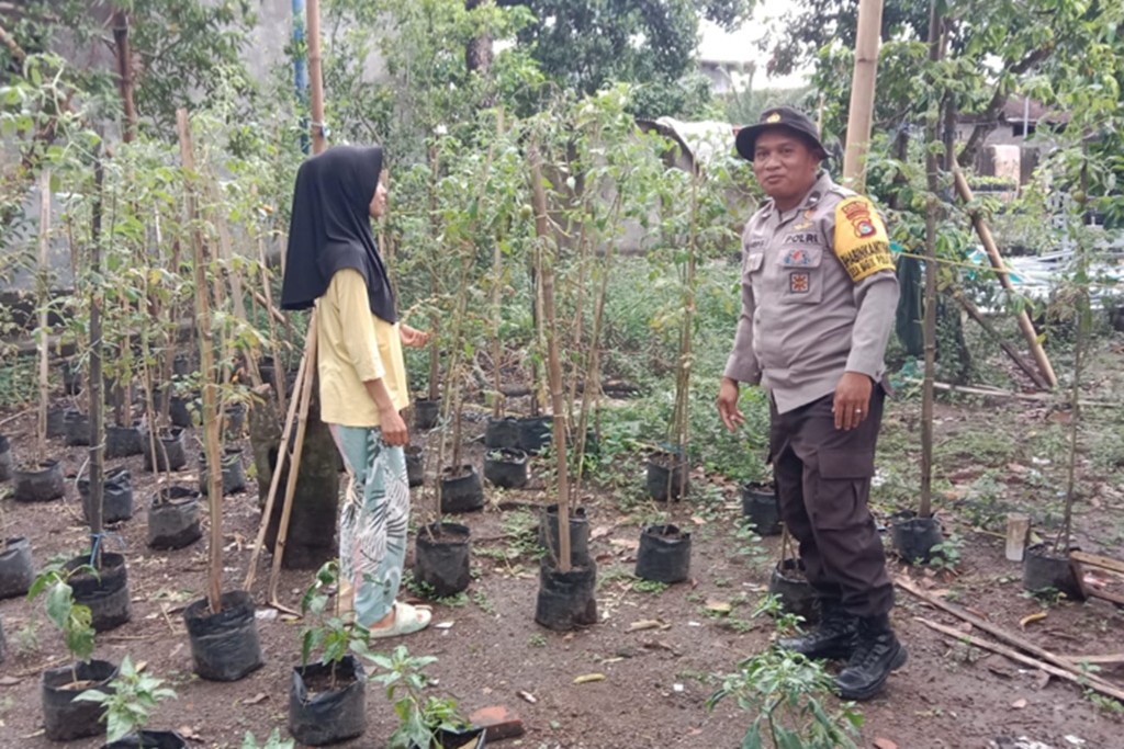 Langkah Konkret Polsek Labuapi Dorong Optimalisasi Lahan Produktif dan Pekarangan Warga