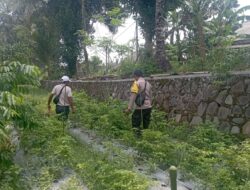 Bhabinkamtibmas Desa Kesik Cek Lahan Ketahanan Pangan Bergizi, Dukung Budidaya Tanaman Cabai
