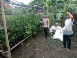 Memperkuat Ketahanan Pangan Desa, Bhabinkamtibmas Gerung Dorong Warga Manfaatkan Lahan Pekarangan