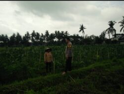 Bhabinkamtibmas Desa Masbagik Selatan Cek Lahan P2B, Dorong Ketahanan Pangan dan Kesejahteraan Masyarakat