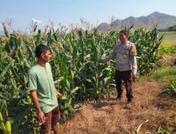 Polsek Kempo Bersama Pordasi dan Pemerintah Kecamatan Bahas Rencana Pacuan Kuda Tradisional