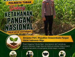Polsek Singgahan Polresta Tuban Turun Cek Tanaman jagung Warga di Desa Saringembat