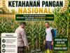 Polsek Soko Polresta Tuban Turun Langsung Cek Tanaman Jagung Warga