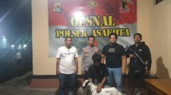 Respons Cepat Polsek Asakota Ungkap Pencurian Dua Ekor Kambing, Satu Pelaku Dibekuk