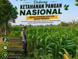 Polri Dukung Astacita, Polsek Semanding Polresta Tuban Turun Cek Tanaman jagung milik Warga di Desa Prunggahan wetan