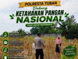 Polri Dukung Astacita, Polsek Semanding Polresta Tuban Turun Cek Tanaman jagung milik Warga di Desa Kowang