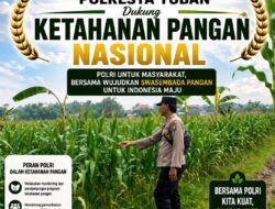 Polsek Soko Polresta Tuban Turun Langsung Cek Tanaman Jagung Warga