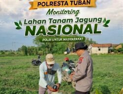Perkuat Ketahanan Pangan, Bhabinkamtibmas Polsek Bancar Monitoring Lahan Tanam Jagung di Desa Cingklung