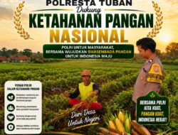 BHABINKAMTIBMAS DESA NGAWUN POLSEK PARENGAN POLRESTA TUBAN LAKSANAKAN PENDAMPINGAN PETANI KANGKUNG, WUJUDKAN KETAHANAN PANGAN