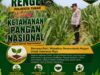 Polri Dukung Astacita, Polsek Rengel Polresta Tuban Turun Cek Tanaman Jagung Warga di Desa Maibit