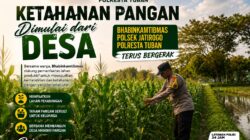 Polri dukung progam Astacita, Polsek Jatirogo Polresta Tuban Turun Cek Tanaman jagung Warga di Desa Ketodan