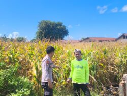 Dukung Ketahanan Pangan Nasional, Bhabinkamtibmas Desa Suka Mulya Sambangi Petani dan Dorong Persiapan Tanam Jagung