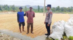 Polresta Tuban, Polsek Tambakboyo – Dukung Ketahanan Pangan, Personel Polsek Tambakboyo Patroli Dialogis ke Lahan Jemur Jagung Milik Warga