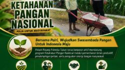 Dukung Astacita, Polsek Palang Polresta Tuban Pantau Langsung Lahan Jagung milik warga Desa Pucangan