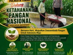 Dukung Astacita, Polsek Palang Polresta Tuban Pantau Langsung Lahan Jagung milik warga Desa Pucangan