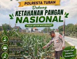 Polri Dukung Astacita, Polsek Rengel Polres Tuban Turun Cek Tanaman Jagung Warga di Desa Rengel