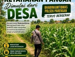 Dukung Program ASTACITA, Bhabinkamtibmas Desa Parangbatu Polsek Parengan Polresta Tuban laksanakan sambang tanaman Jagung Di Desa Parangbatu Kec. Parengan