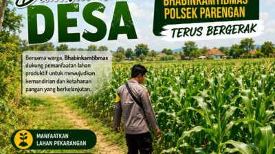 Dukung Program ASTACITA, Bhabinkamtibmas Desa Parangbatu Polsek Parengan Polresta Tuban laksanakan sambang tanaman Jagung Di Desa Parangbatu Kec. Parengan
