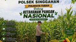 Polsek Singgahan Polresta Tuban Turun Cek Tanaman jagung Warga di Desa Mulyoagung