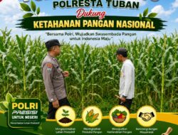Dukung Asta Cita, Polsek Jatirogo Turun Langsung Pantau Ladang Jagung Warga Desa Jatiklabang