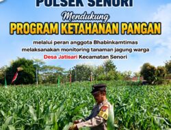 Polisi RW Polsek Senori Polresta Tuban Monitoring Tanaman Jagung Milik Warga Desa Medalem Guna Mendukung Program Ketahanan Pangan