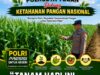 Polisi Polsek jenu Polres Tuban Turun ke Ladang, Dampingi Petani Jagung Dukung Ketahanan Pangan