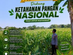 Polri Dukung Astacita, Polsek Semanding Polresta Tuban Turun Cek Tanaman jagung milik Warga di Desa Semanding