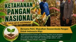 Polisi Polsek jenu Polres Tuban Turun ke Ladang, Dampingi Petani Jagung Dukung Ketahanan Pangan