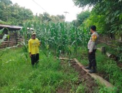 Pendampingan petani oleh Bhabinkamtibmas wujud komitmen polri untuk ketahanan pangan
