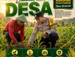 Polsek Plumpang Polresta Tuban Turun Langsung Cek Tanaman Jagung Warga