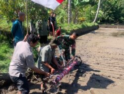 Sinergi TNI dan Petani Percepat Modernisasi Pertanian Suranadi