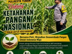 Polri dukung progam Astacita, Polsek Jatirogo Polresta Tuban Turun Cek Tanaman jagung Warga di Desa Demit