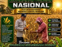 Polsek Plumpang Polresta Tuban Turun Langsung Cek Tanaman Jagung Warga
